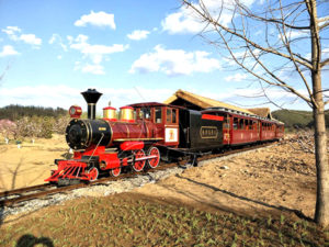 Attractive Scenic Track Train For Sale
