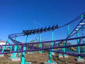 roller coaster for sale