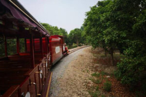 Large track sightseeing train
