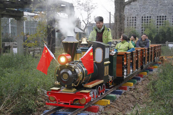 Small track sightseeing train