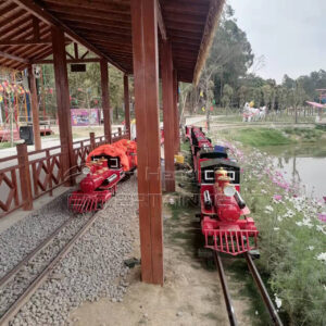 mini track train ride